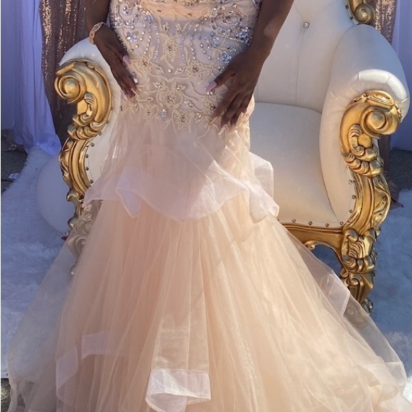 Blush Pink Evening/Prom/Ball Gown - Picture 6 of 6